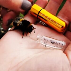 Bee Revival Kit - Butterfly & Bee Reviver Keychain - Image 16