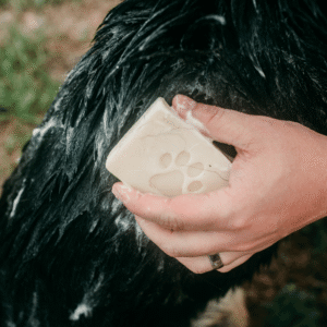 Pet Shampoo Bar - Zero Waste Dog Shampoo. All Natural. Vegan. Plastic Free. 4oz