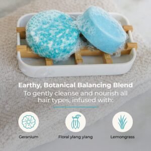 Shampoo & Conditioner Bar Duo - Image 18