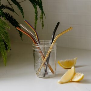 Stainless Steel Straw - Straight. Bent. or Boba Style
